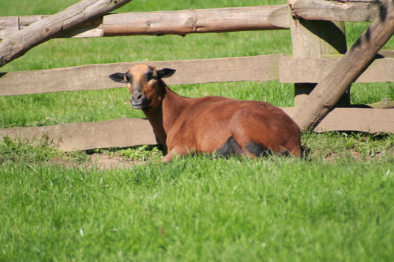 Killikus&reg; Fotographie